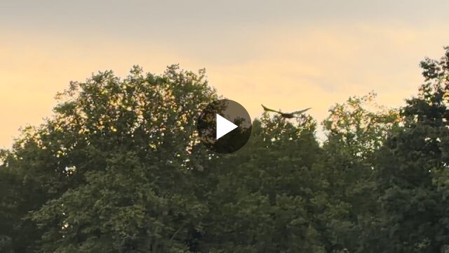 img_7913.mp4_720_h264