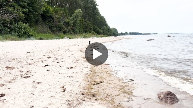 frida und ix gehen ein stück am strand vom lubmin spazieren.
