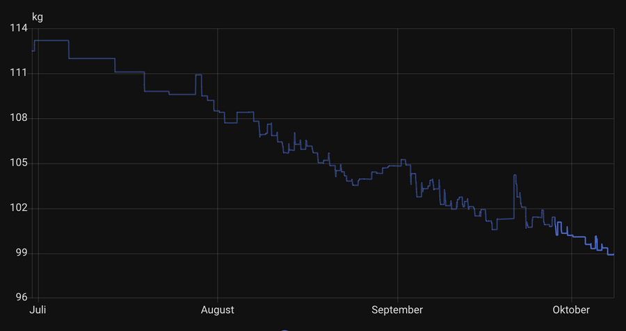 ungeglätteter graph meiner wäägungen der letzten 100 tage