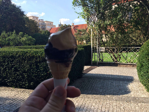 (bei fran&shy;ti&scaron;k&aacute;ns&shy;k&aacute; zahra&shy;da)