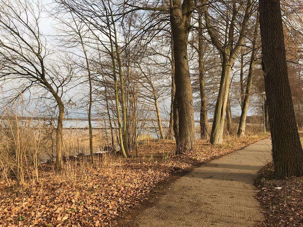 das war heu­te sehr früh­lings­haft am müg­gel­see.