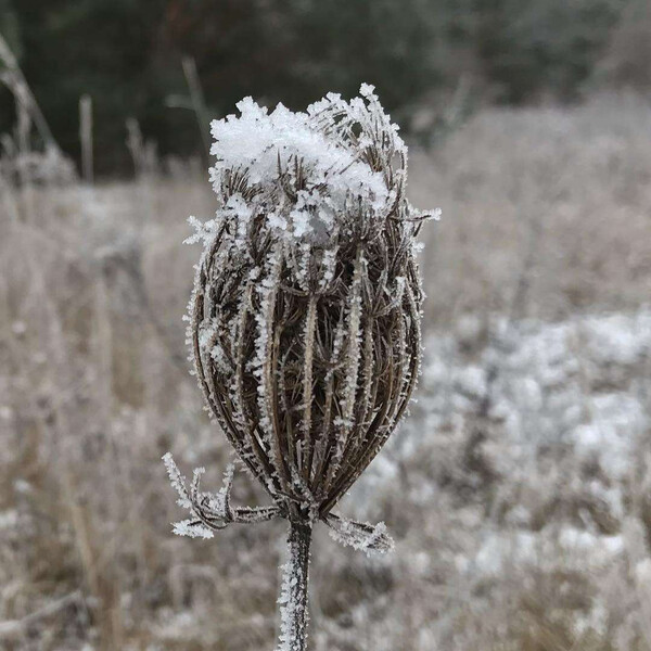 heu­te schien die welt schwarz weiss. #no­fil­ter #schwör