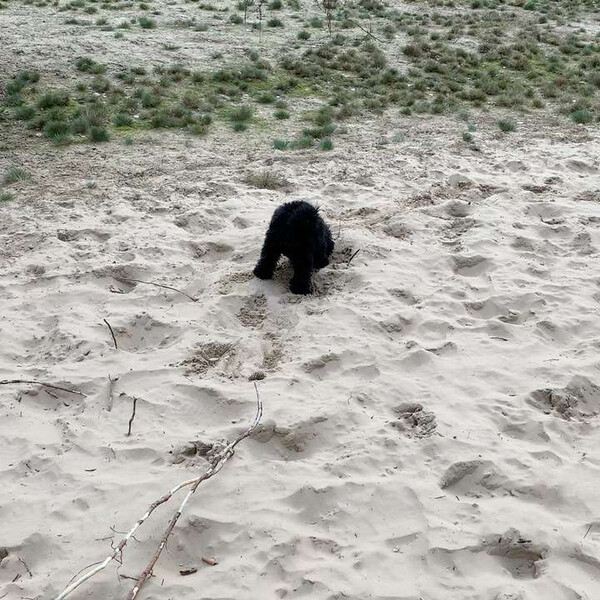 vor dem ers&shy;ten schnee erst&shy;mal der ers&shy;te sand.