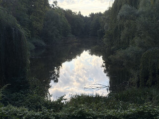 foto vom möwensee im volkspark rehberge, im wasser reflektiert sich der wolkige himmel, der se ist dicht mit saftigen, grünen bäumen zugewachsen.