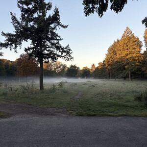 fr&uuml;hnebel