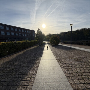 der sonne entgegen