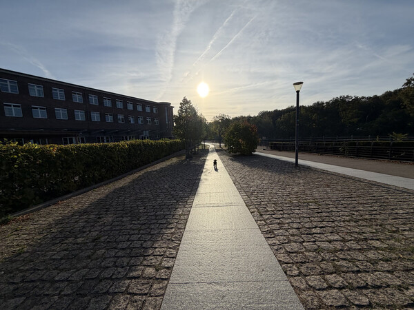 der sonne entgegen