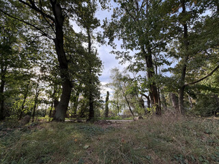 am tegeler see