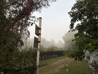 fr&uuml;hnebel an der kameruner strasse, ein weg und viele b&ouml;ume die im hintergrund langsam in den nebel faden