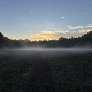 nebel