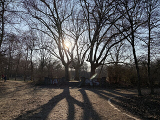 eingang des goetheparks im gegenlicht. hinter den b&auml;umen scheint die sonne und wirft scharf geschnittene schatten auf den boden.