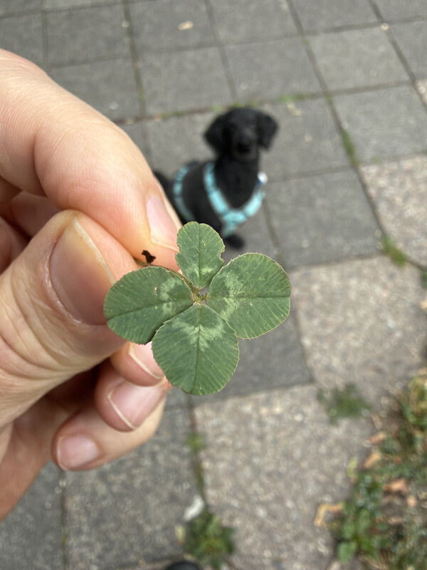 🍀 2/x