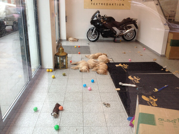 flauschfenster