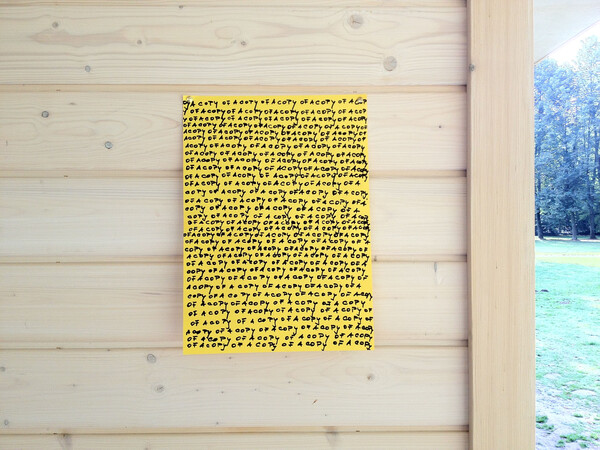 photo of a copy, of a copy, of a copy ...