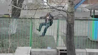 YouTube Video Vorschaubild