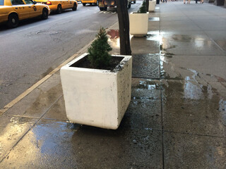 begossener blumentopf