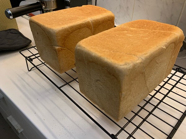 im­mer­hin kann ich jetzt hier mit ner te­le­fon app pos­ten, zum bei­spiel die­ses weiss­brot, das ich heu­te …