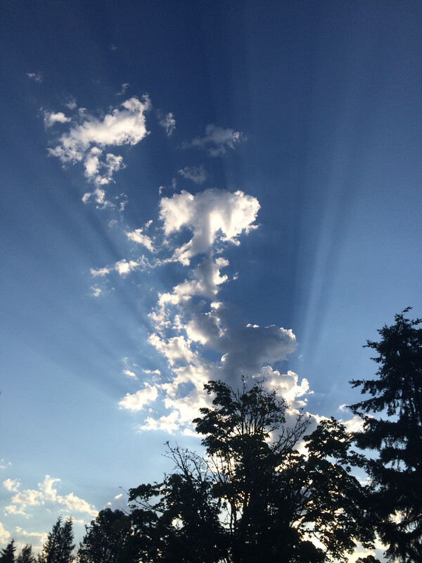morgensonne in vernonia
