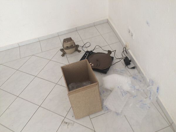 (bei kiez&shy;kunst&shy;werk&shy;st&auml;t&shy;te wed&shy;ding)
