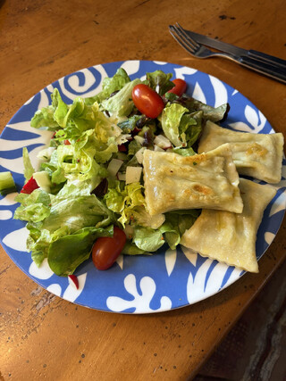 angebratene maultaschen mit einem bunten, gr&uuml;nen blatsalat auf eiunem blaugemustereten teller auf einem holztisch