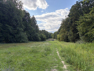 blick von der rodelwiese in den rehbergen richtung wildschweingehege. man sieht eine gruppe menschen die einer live-band zuh&ouml;ren. rechts im waldst&uuml;ck kackt gerade jemand, aber das sieht man zum gl&uuml;ck nicht.