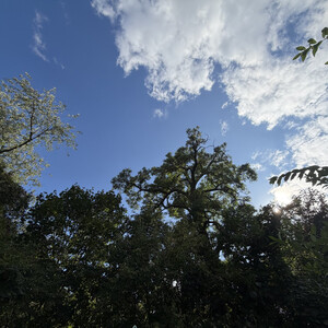 abendspaziergang 22.08.2026 und 23.08.2026