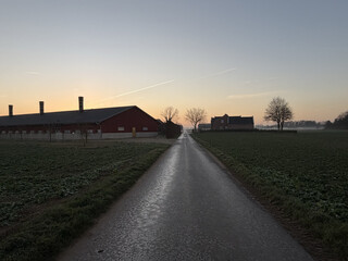 foto eines geteerten feldwegs, links ein grosser stall, einige kahle b&auml;ume am horizont, der morgenhimmel leuchtet orange-blau