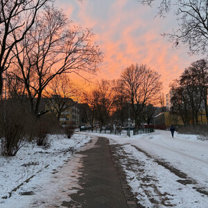 morgenspaziergang 12.01.2026