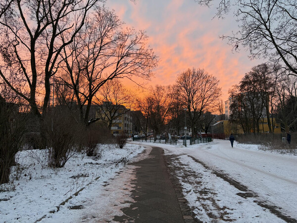 morgenspaziergang 12.01.2026