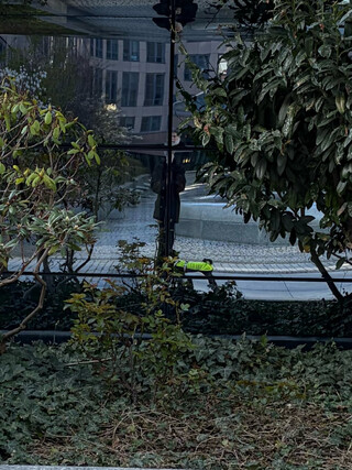 selfie in einer glassfassade. durch die glasfassdenteile sieht man mich und frida verzerrt und abgeschnitten