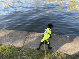 frida blickt am rand der spree auf ihren ball, der in der spree davonschwimmt