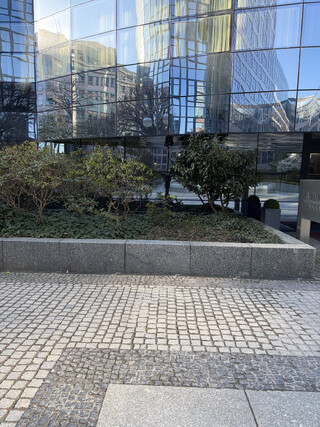 selfie in einer glassfassade. auf dem bild sieht man allerdings nur die glasfassdae