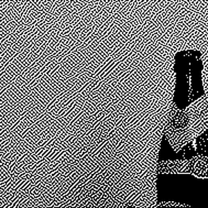 bitcam