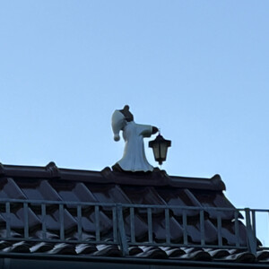 dach-hahn und dach-schlafwandler