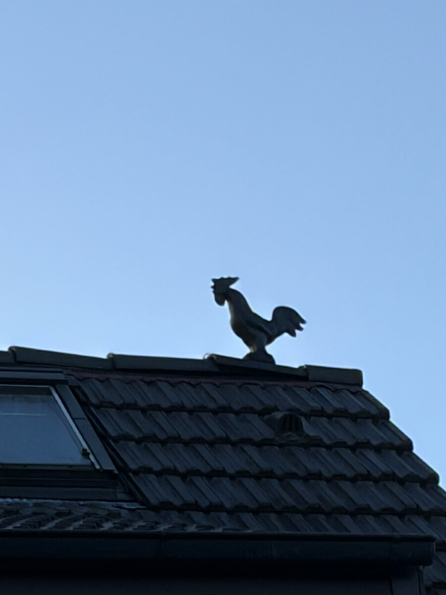 foto eines dachfirst mit einem hahn aus keramik