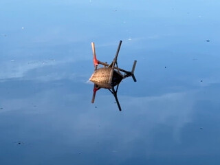 ein korbstuhl der kpfüber im berliner schifffahrtskanal schwimmt. man sieht in der reflektion des wassers den sehr blauen himmel.