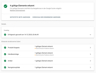 svcreenshot der testseite für rich text suchergebnisse von google für the verge
