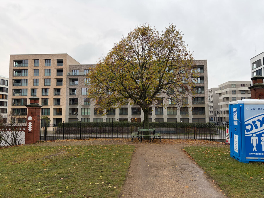 bild eines baums auf dem invalidenfriedhof, daneben steht ein dixie-klo