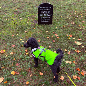 der buchhalter, der baum, die frida, das dixi