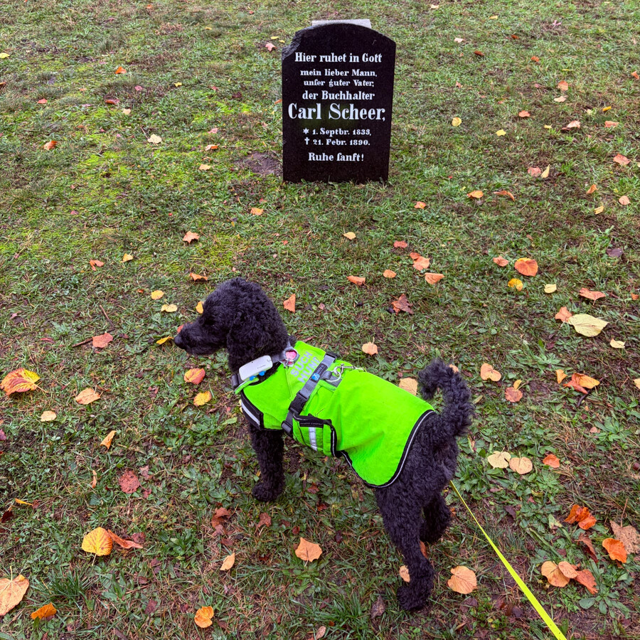 bild eines grabsteins auf dem invalidenfriedhof. auf dem stein steht u.a. „mein lieber mann, unser guter vater, der buchhalter carl scheer“
