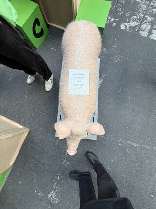 mechanotronisches schwein mit einem zettel auf dem r&uuml;cken: &bdquo;ich m&ouml;chte nur an der nase angefasst werden&ldquo;
