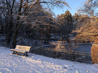 foto vom vereisten sperlingsee im volkspark rehberge, im vordergrund eine bank die von der morgensonne orange beschienen wird