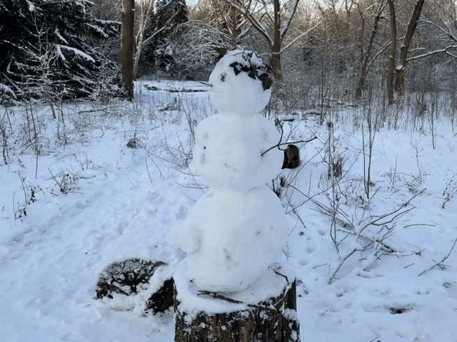 erster tag 2026 mit sonne