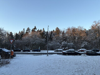 foto des volkspark rehberge &uuml;ber die afrikanischen strasse hinweg. die baumwipfel sind orange von der morgensonne beschienen
