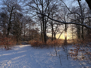 foto von ehemaligen, jetzt schneebedekcten friedhof am pl&ouml;tzensee, die morgensonne scheint durch die b&auml;ume.