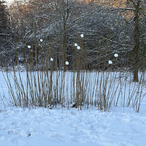 erster tag 2026 mit sonne