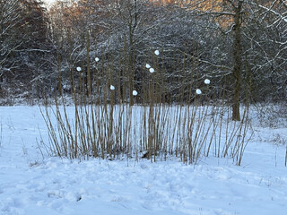 erster tag 2026 mit sonne