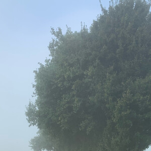 mattiertes, flüssiges und klarglas mattiertes, flüssiges und klarglas