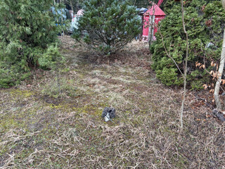 foto von der barfussstrasse auf das gelände der ehemaligen steinmetzerei. im gras sieht man eine kleine miniatur.