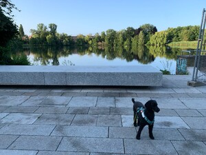 frida vor dem schäfersee